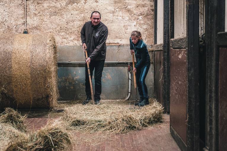 Une journée avec des chevaux